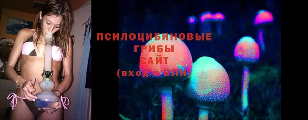 эйфоретик Арсеньев