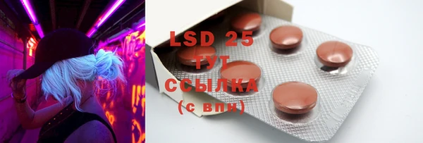 PSILOCYBIN Армянск