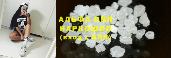 эйфоретик Арсеньев