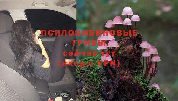 спиды Аркадак