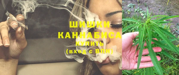 PSILOCYBIN Армянск
