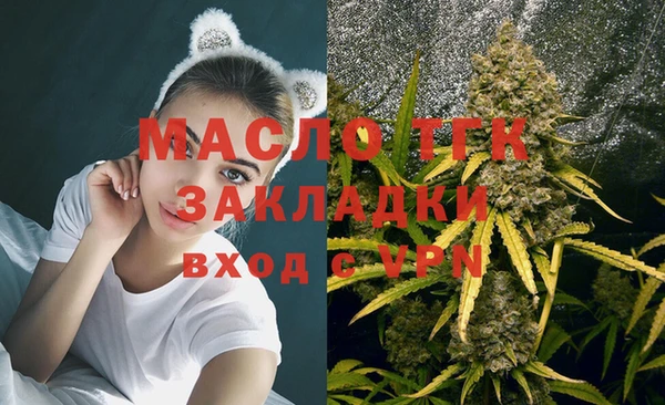 МДПВ Осташков