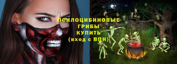 эйфоретик Арсеньев