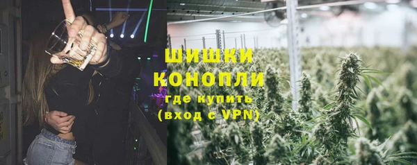 PSILOCYBIN Армянск