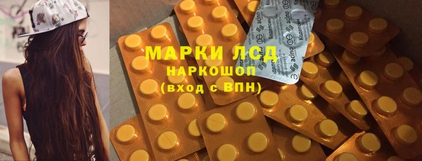 спиды Аркадак